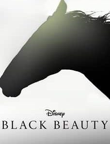 Black Beauty 2020